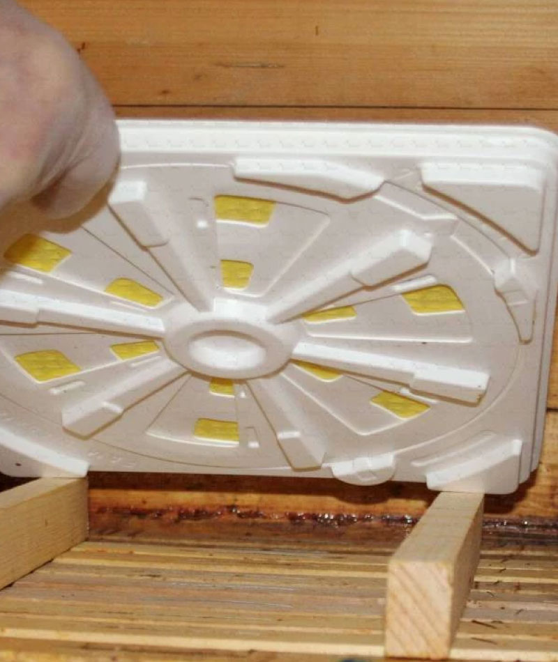 andermatt-canada-bee-health-featured-products-fam-dispenser